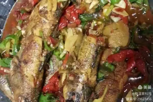 五道黑——乌伦古河的幽灵